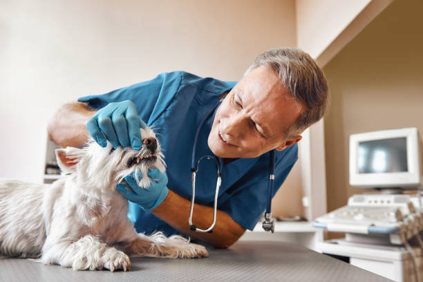 Best Emergency Dental Surgery in Fargo, ND