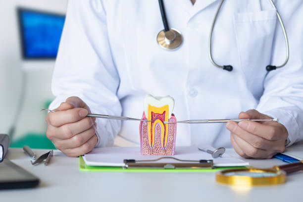 Best Weekend Emergency Dentist in Fargo, ND